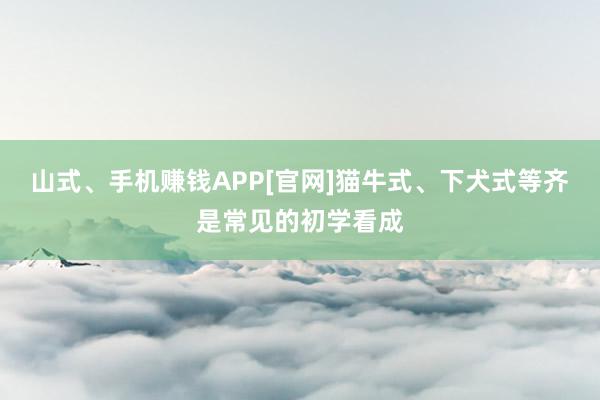 山式、手机赚钱APP[官网]猫牛式、下犬式等齐是常见的初学看成